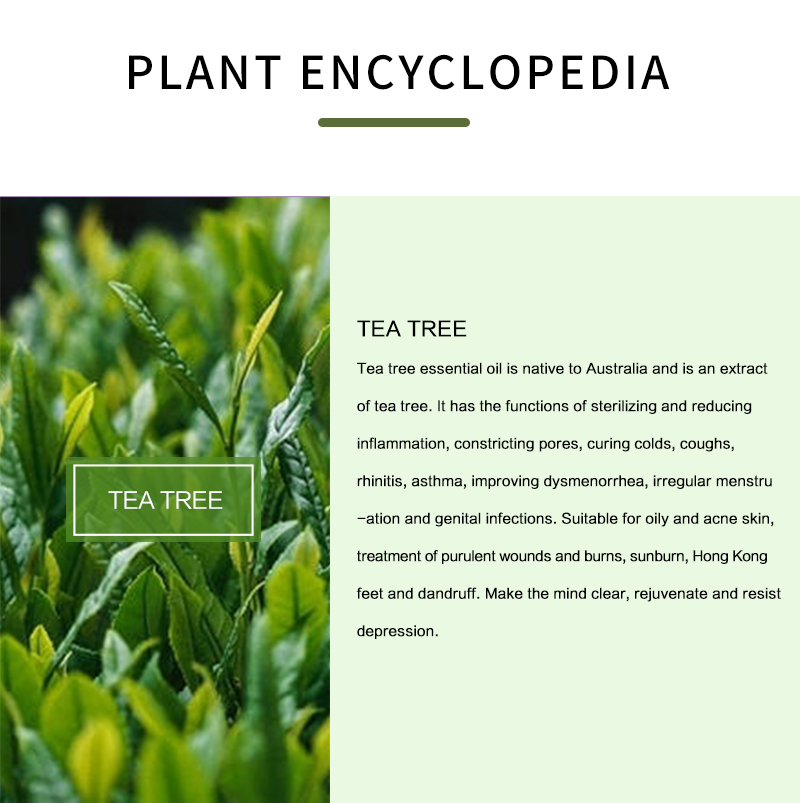 Olio essenziale dell'albero de - Tea Tree Spot Treatment recensione e prezzo